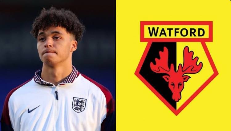 爱游戏体育app-罗马诺：沃特福德与曼城就租借阿莱恩达协议，球员将先与曼城续约