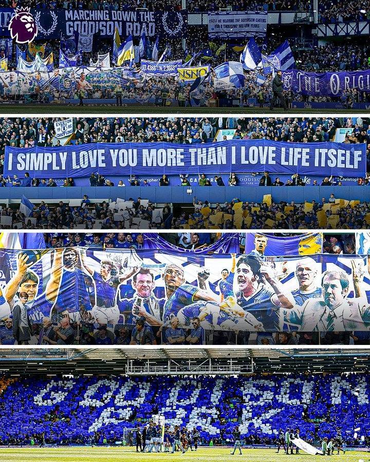 ayxsports-原址不荒废埃弗顿官方：古迪逊公园将成为埃弗顿女足永久主场